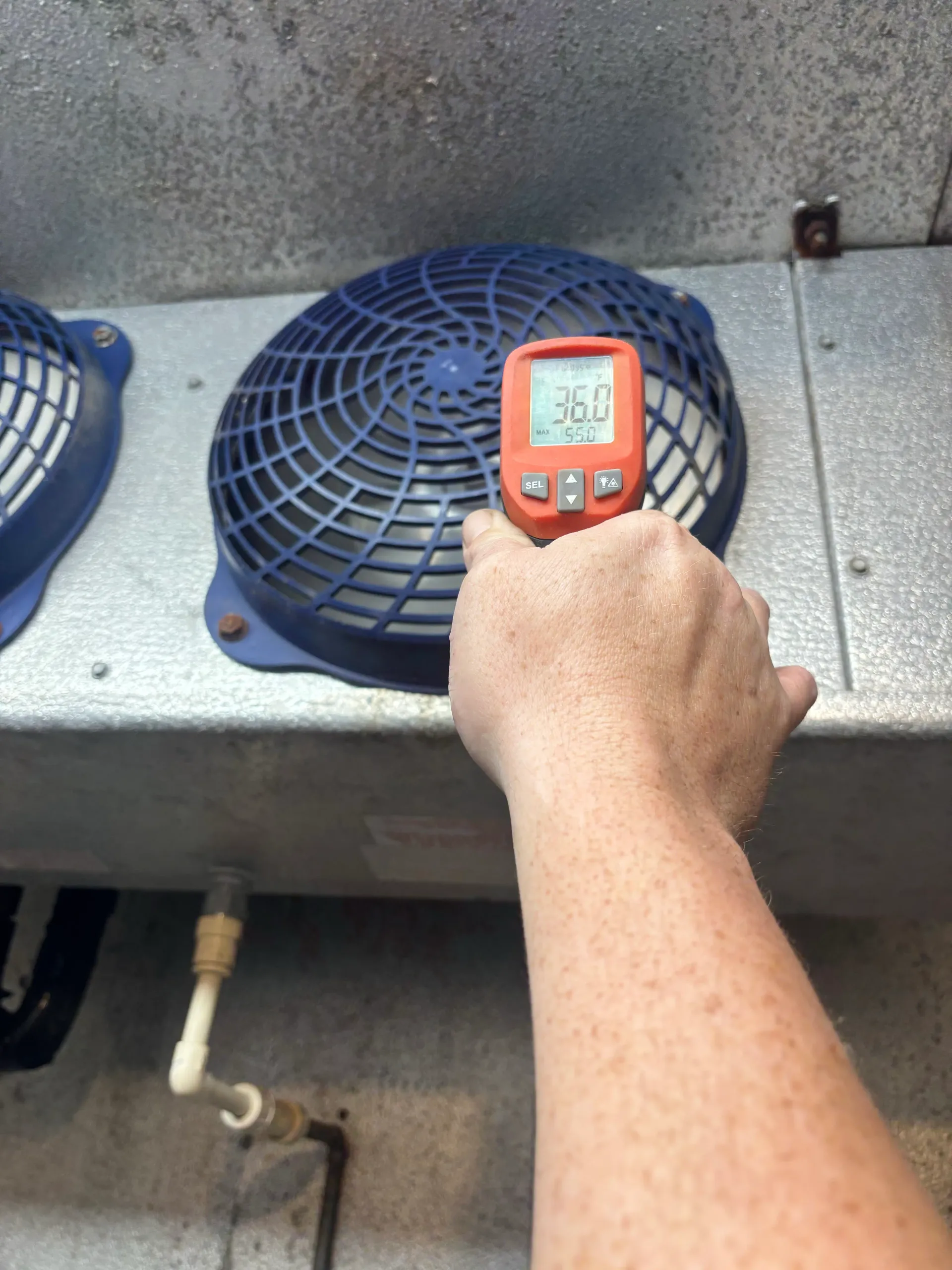 Bohn walk-in evaporator being checked with a digital thermometer